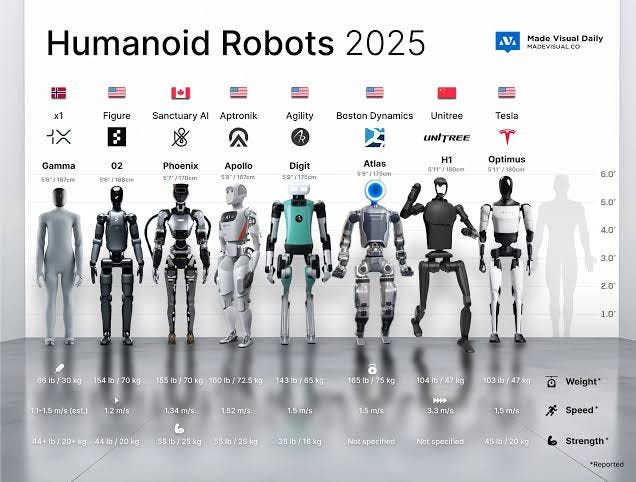 The Class of 2025: A snapshot of the rapid proliferation of humanoid robotics hardware. While public attention focuses on LLMs, physical autonomy is being solved in parallel by competitors in the US, Europe, and China.